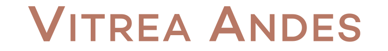 Logo Vitrea Andes Wijnen uit Chili